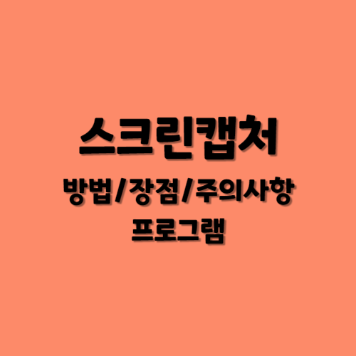 스크린캡쳐 사용방법