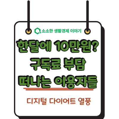 한 달에 10만 원? 구독료 부담에 떠나는 이용자들, '디지털 다이어트' 열풍