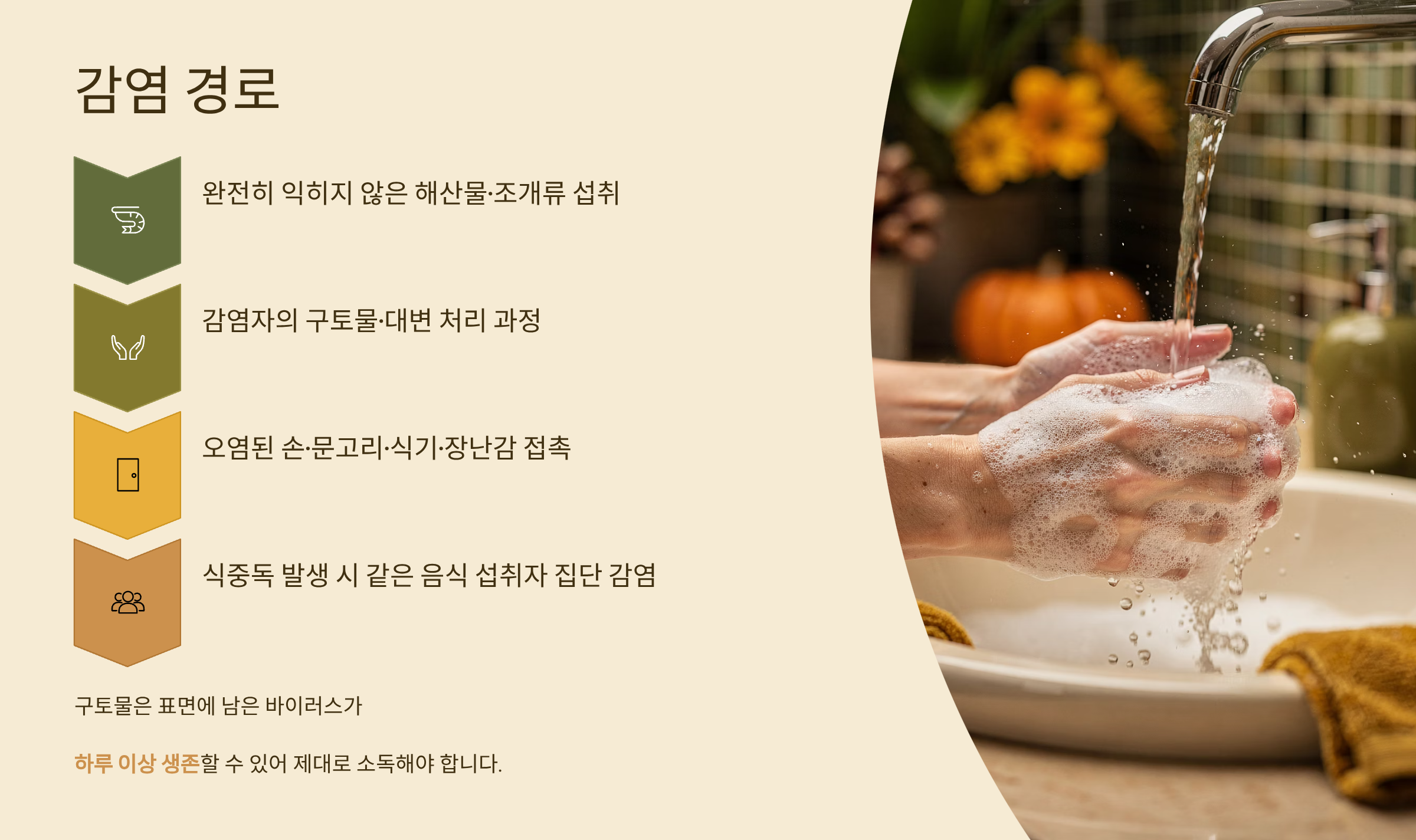 노로 바이러스 장염 감염 경로