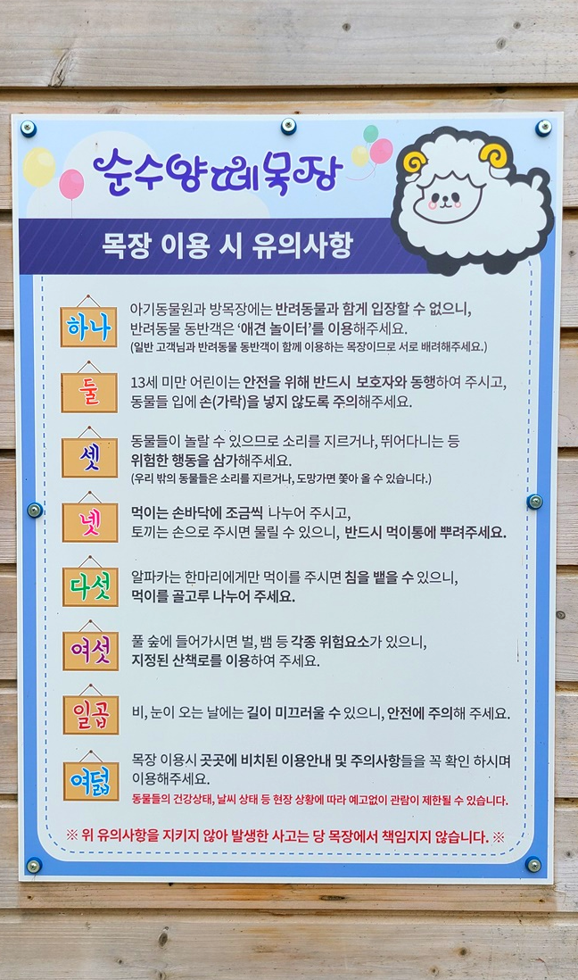 대관령-순수양떼목장