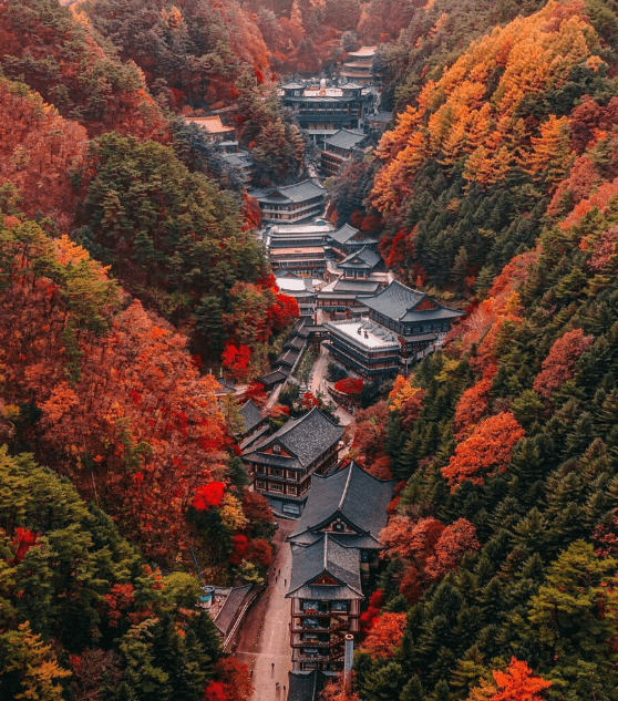 구인사