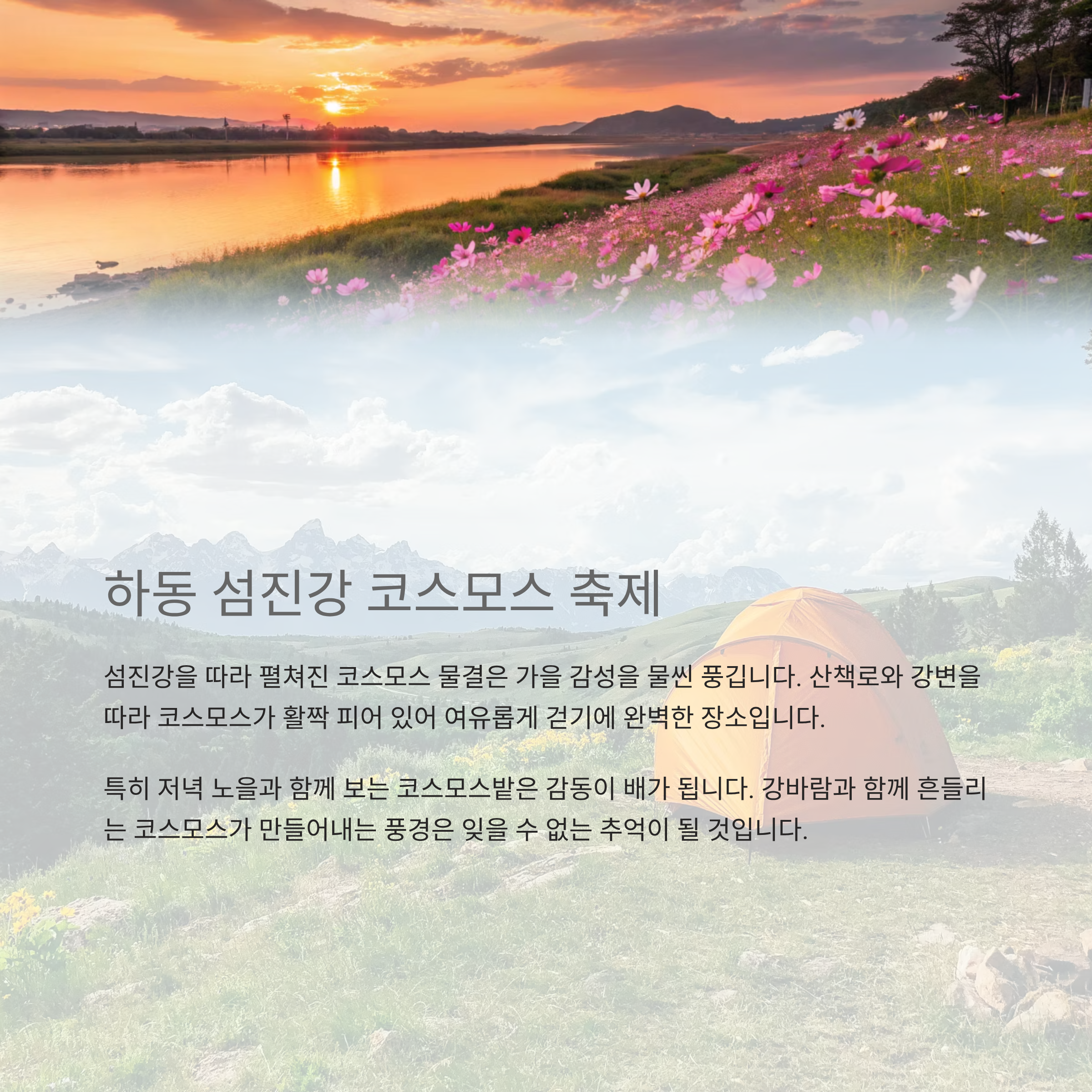 9월 여행지 추천, 상사화와 꽃축제로 물드는 가을