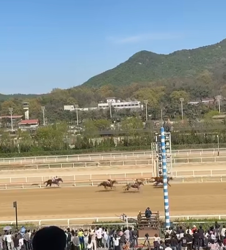 푸드트럭존 수제맥주와 바비큐