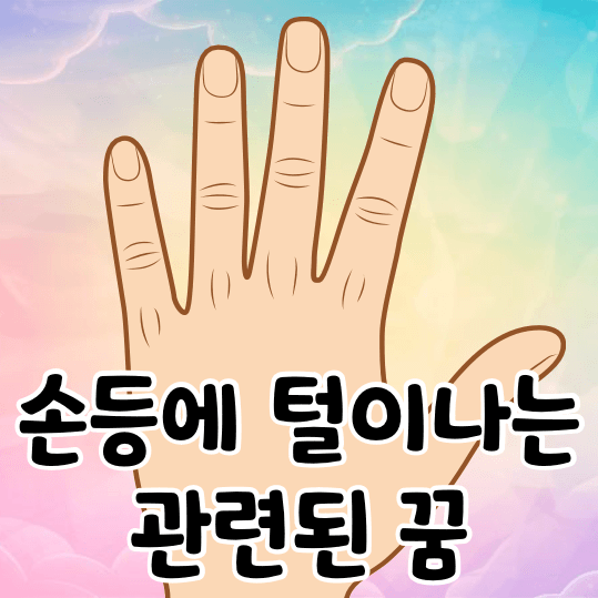 손등