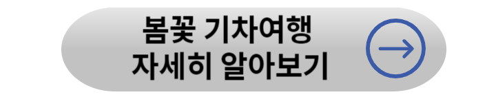 2024년 벚꽃 개화시기+ 전국 벚꽃 명소 정리