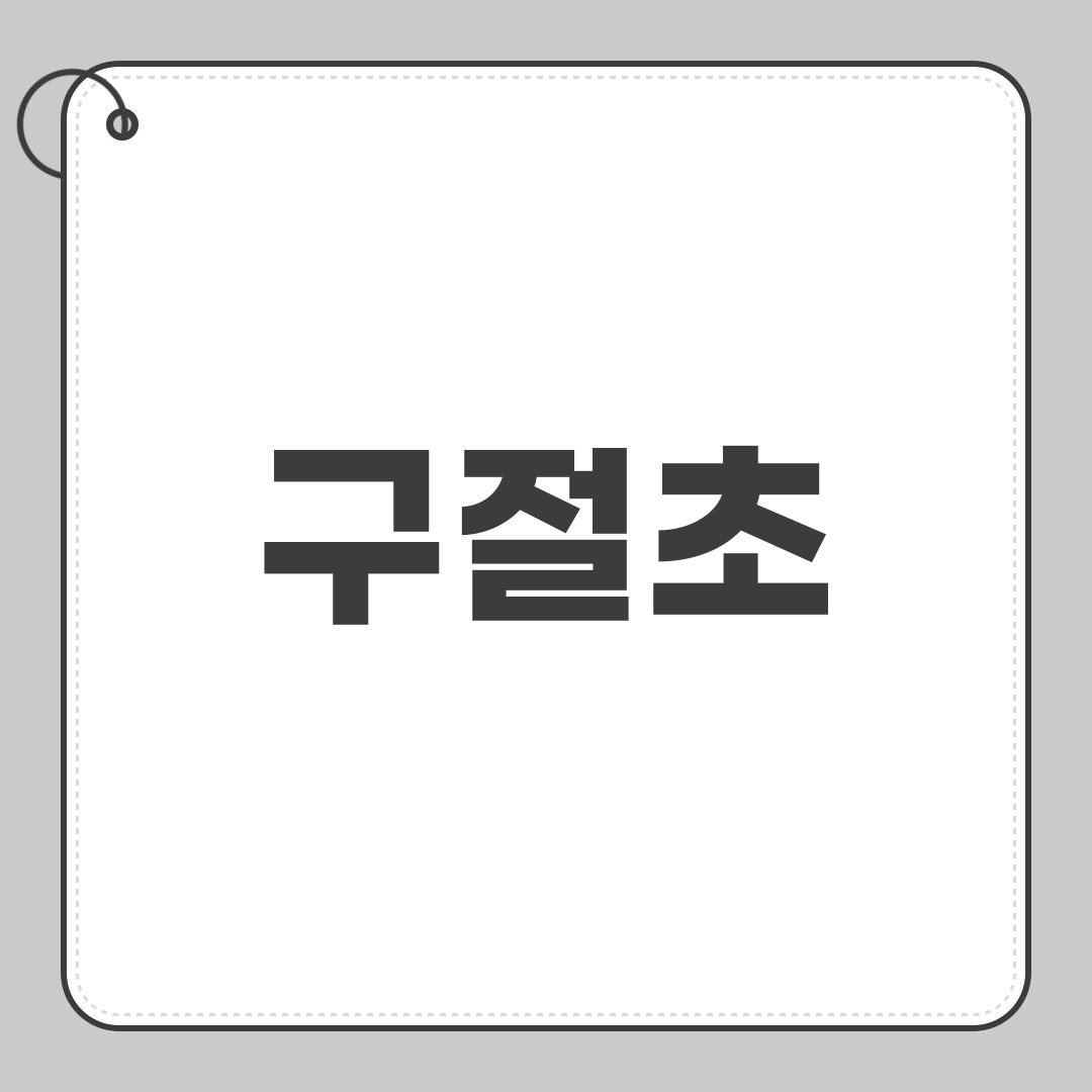 구절초