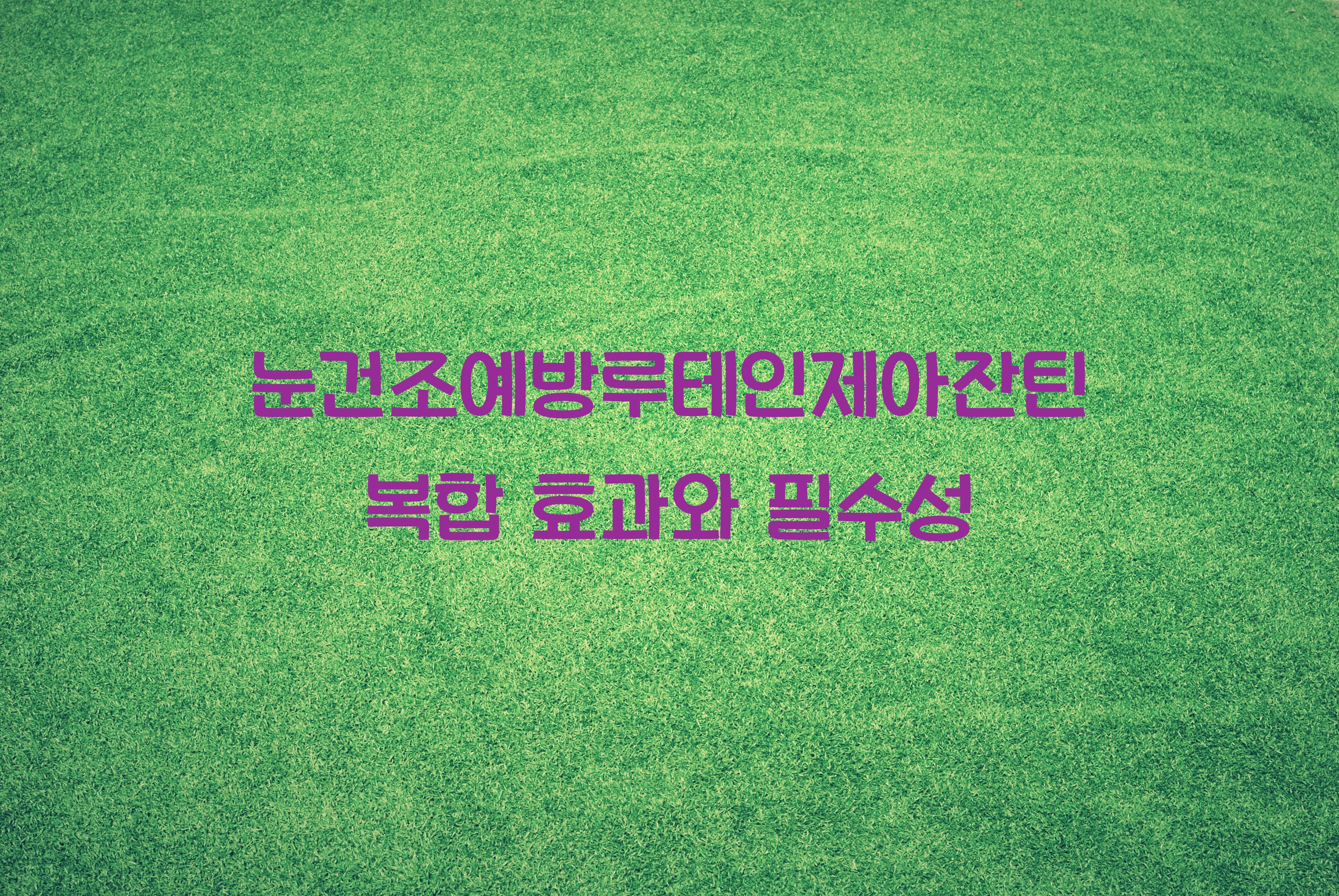 눈건조예방루테인제아잔틴복합