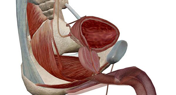 방광암 수술 후유증