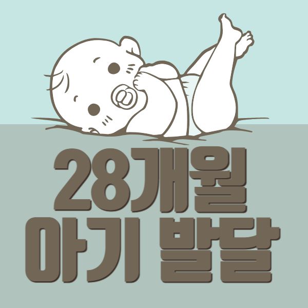 28개월 아기 발달