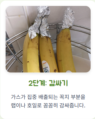 바나나 보관법