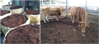 커피찌꺼기 퇴비 활용 비료대체 냄새관리 양조절 안전사용 팁_37