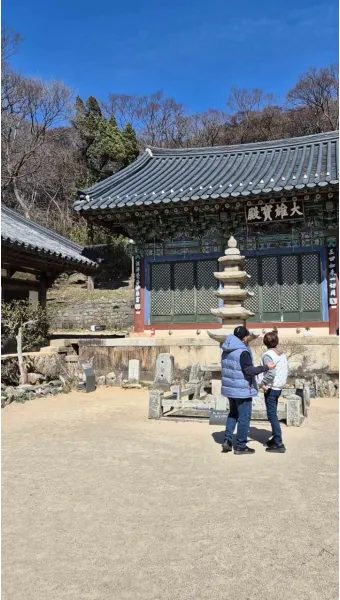 서산 개심사 청벚꽃 개화시기 명소_23