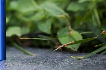 전자담배 기내반입