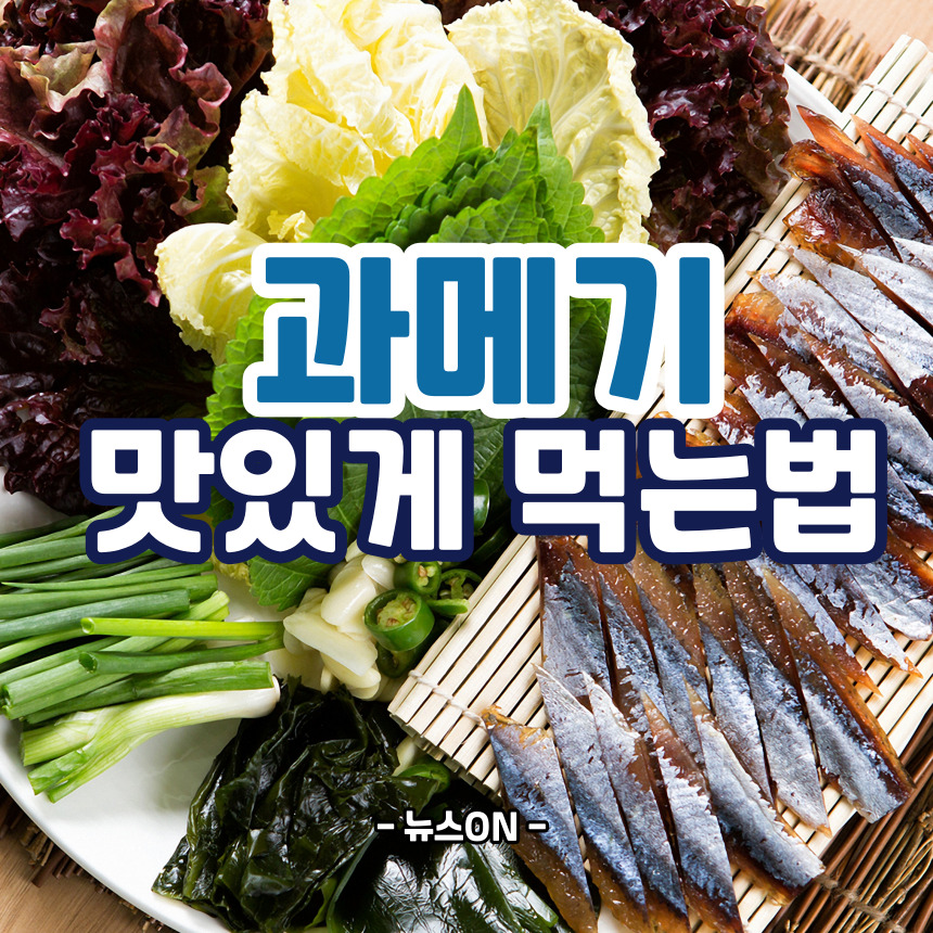과메기 맛있게 먹는법