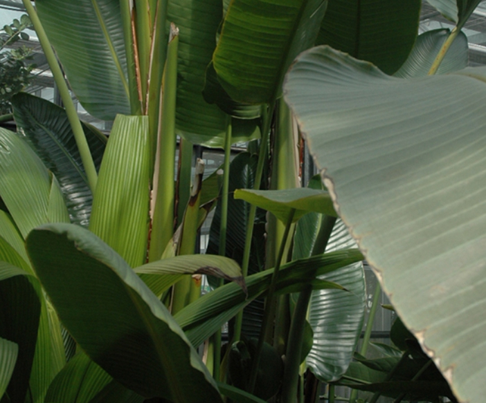 가을여행/가족여행지/추천/전북/대아수목원