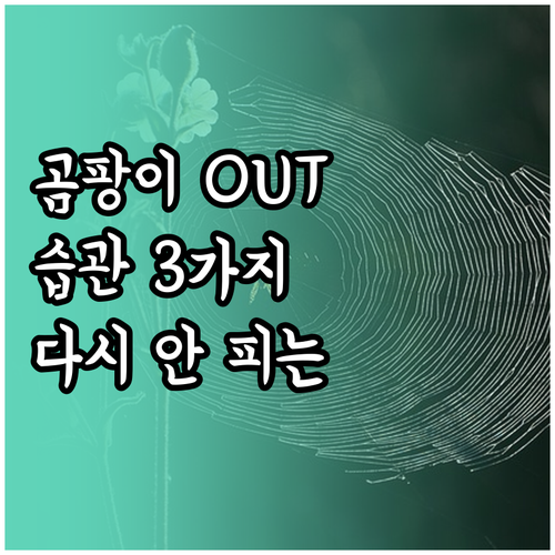 곰팡이 다시 안 피게 하는 생활 습관..