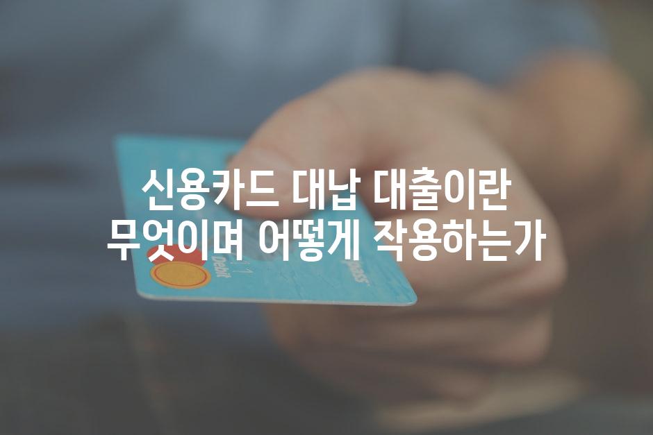 신용카드 대납 대출이란 무엇이며 어떻게 작용하는가