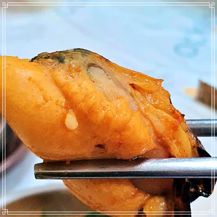 MBN 생생정보 마당 강원 양양 직접 잡은 뻘낙지, 낙지볶음 맛집