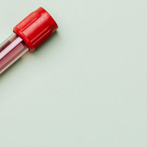 알부민 영양제 - 흡수 가능한 형태인지도 확인 필요