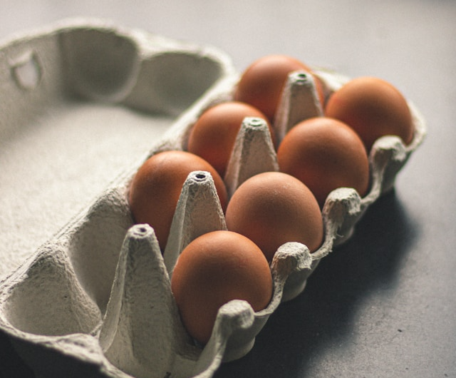 계란을 한바구니에 담지 말라