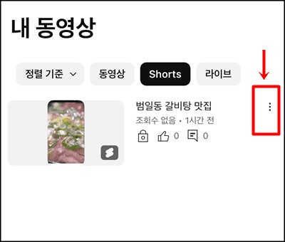 내 동영상 보기
