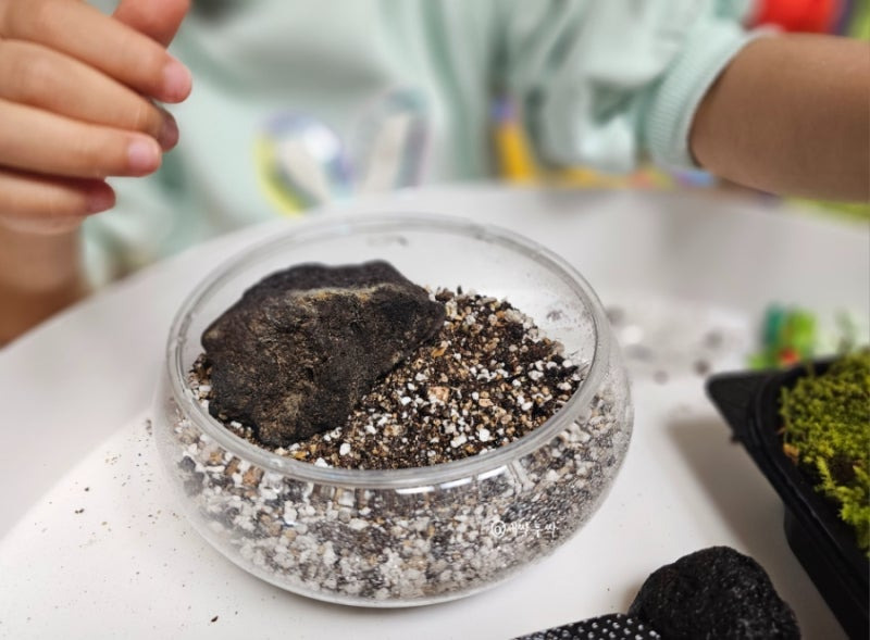 아이가 테라리움을 만들고 있음