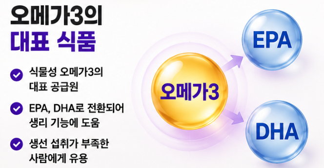 오메가3의 대표 식품
