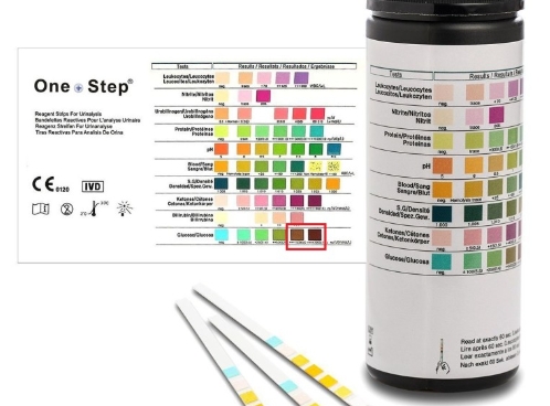 요 시험지 검사