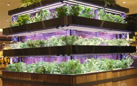 스마트농업 기술발전과 미래