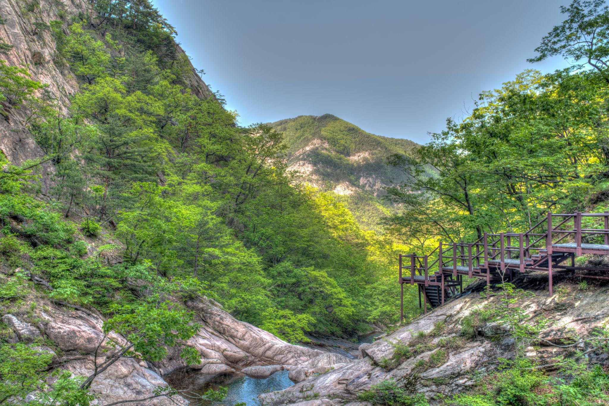 설악산 오픈런 케이블카
