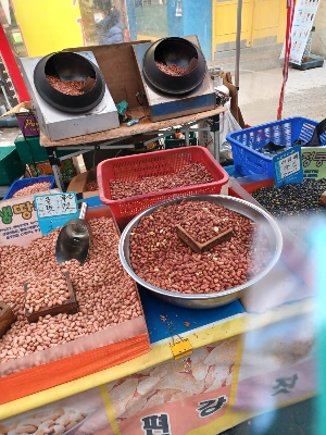 땅콩집