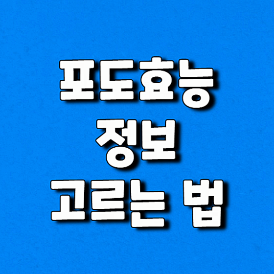 포도효능