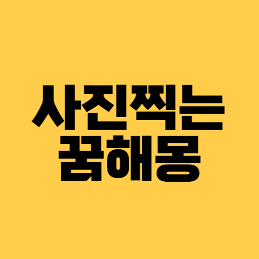 사진찍는꿈