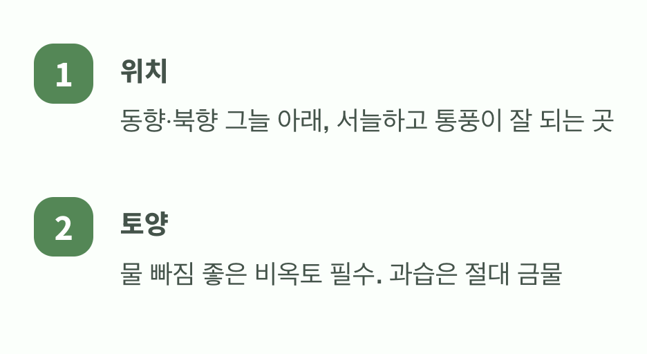 이 나무가 좋아하는 자리