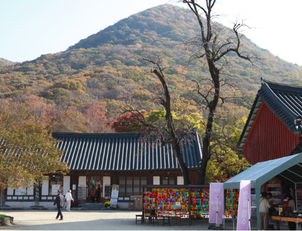 선운사