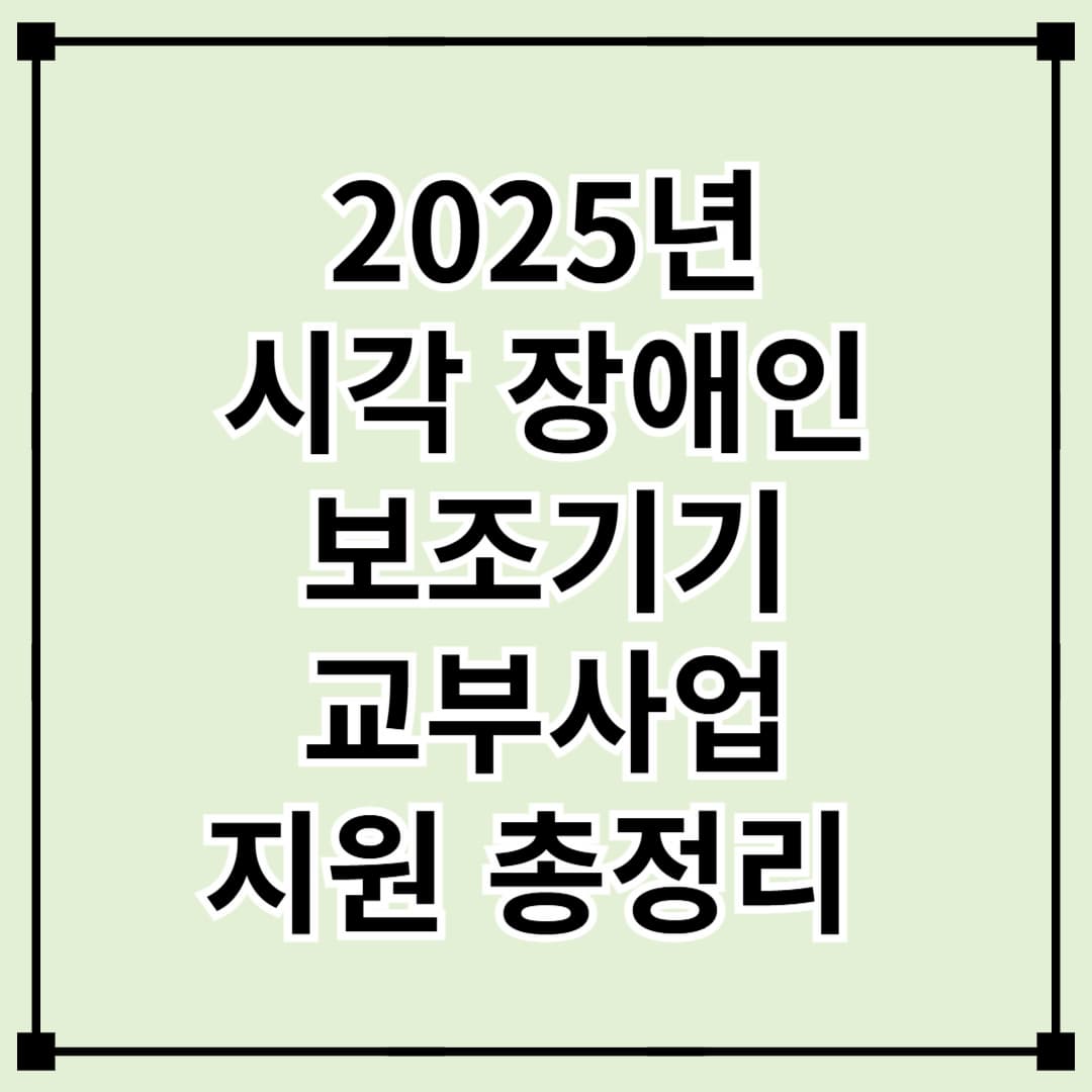 시각 장애인 2025 보조기기 교부사업 지원 및 품목 총정리