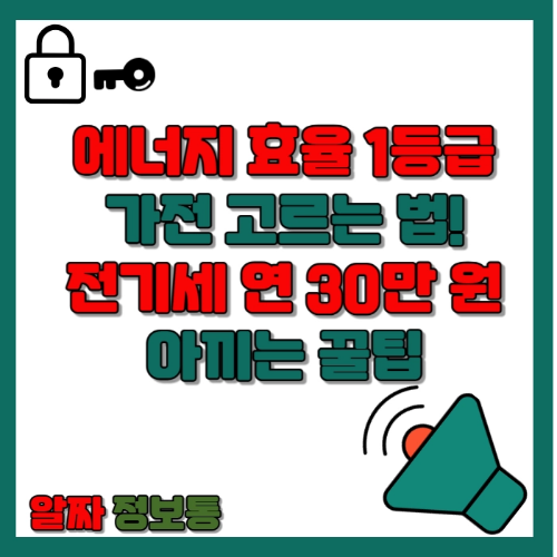 알짜정보통