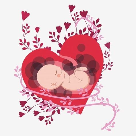 태반에 대한 사진