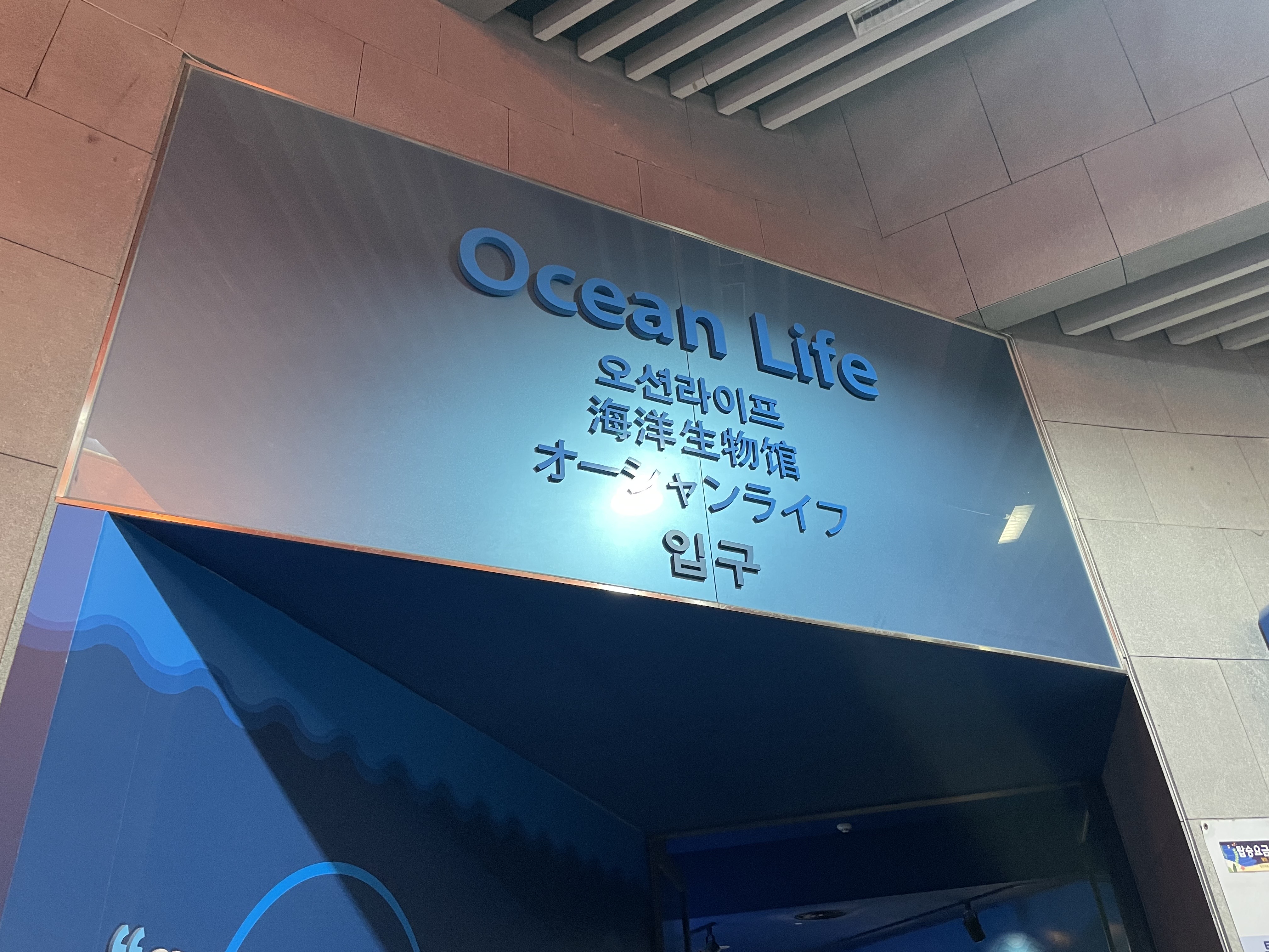 여수 아쿠아플라넷