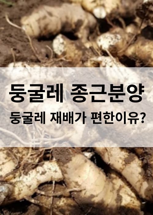둥굴레종근사전예약재배방법파종법