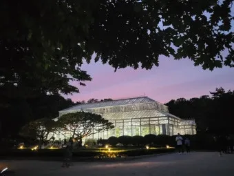 창경궁 예약 탐방 근처 맛집 10선_26