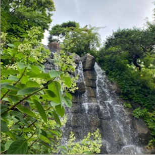 화담채 예약 방법