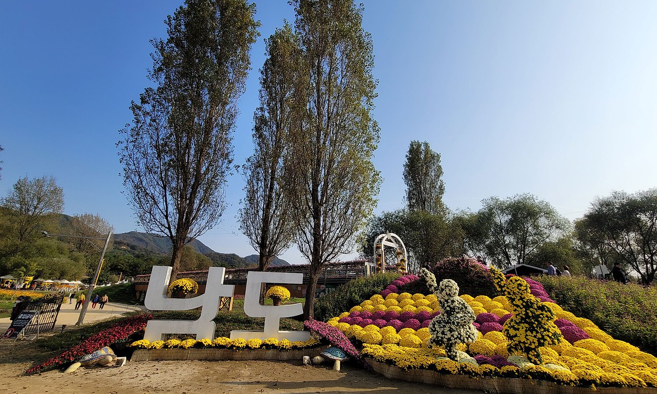 2025년 자라섬 꽃 페스타, 꽃으로 힐링하는 여정!