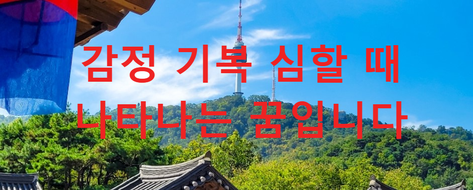 꿈과건강