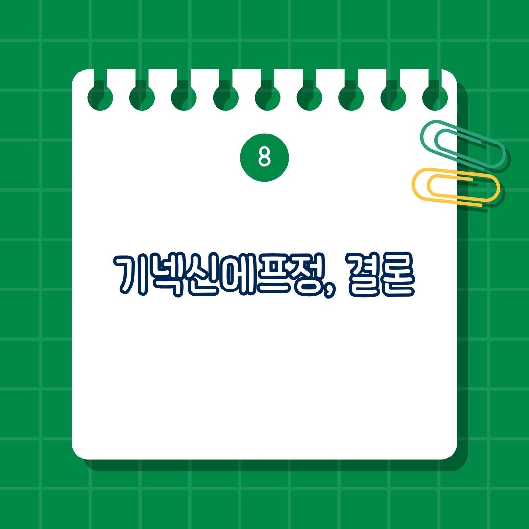 기넥신에프정 결론