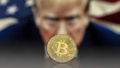 오피셜트럼프 코인 업비트 빗썸