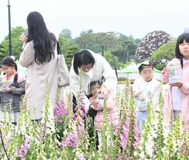 함평나비축제 가는길