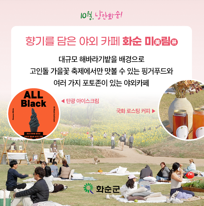 화순 고인돌 가을꽃축제