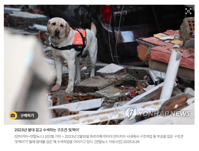 그들은 누구인가? 국가를 위해 일한 ‘동료’입니다