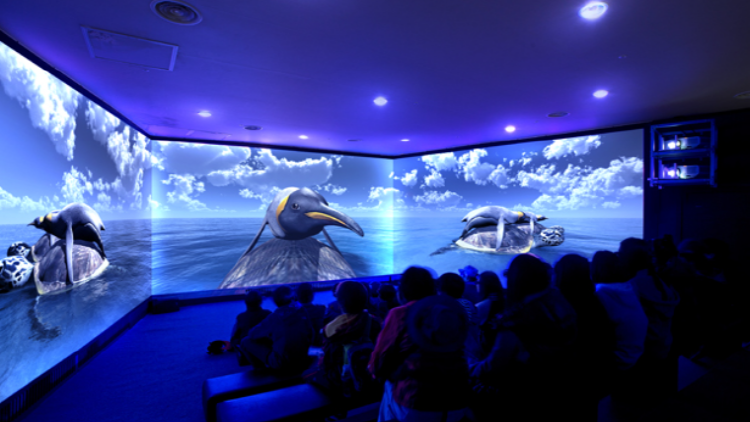 여수 아쿠아리움